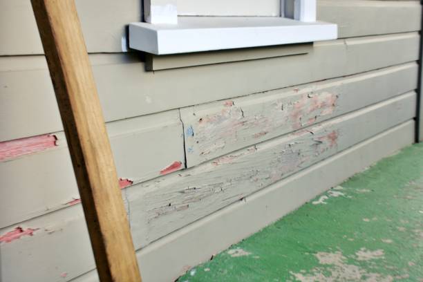 Best Dumpster Rental Services  in Reno, NV